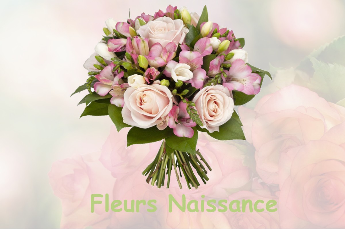 fleurs naissance SAINT-BARTHELEMY-D-AGENAIS