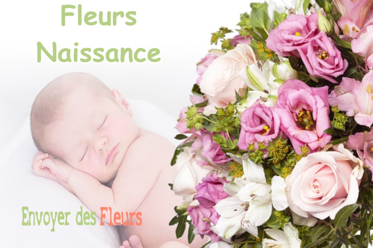 lIVRAISON FLEURS NAISSANCE à SAINT-BARTHELEMY-D-AGENAIS